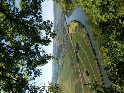 Apartment Ferienwohnung mit schönem Garten - Outdoor photo 3
