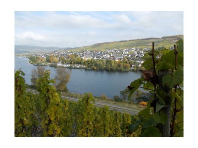 Apartment Ferienwohnung mit schönem Garten - Outdoor photo 4