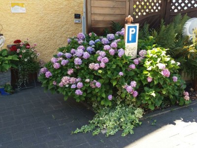 Apartment Ferienwohnung mit schönem Garten - Outdoor photo 10