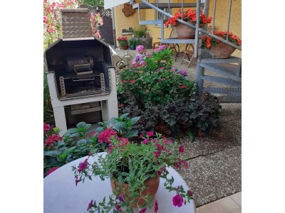 Apartment Ferienwohnung mit schönem Garten - Outdoor photo 16