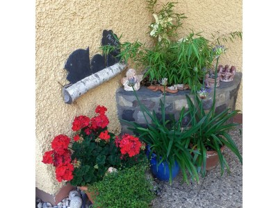 Apartment Ferienwohnung mit schönem Garten - Outdoor photo 17