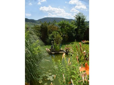 Apartment Ferienwohnung Burgblick - Outdoor photo 7