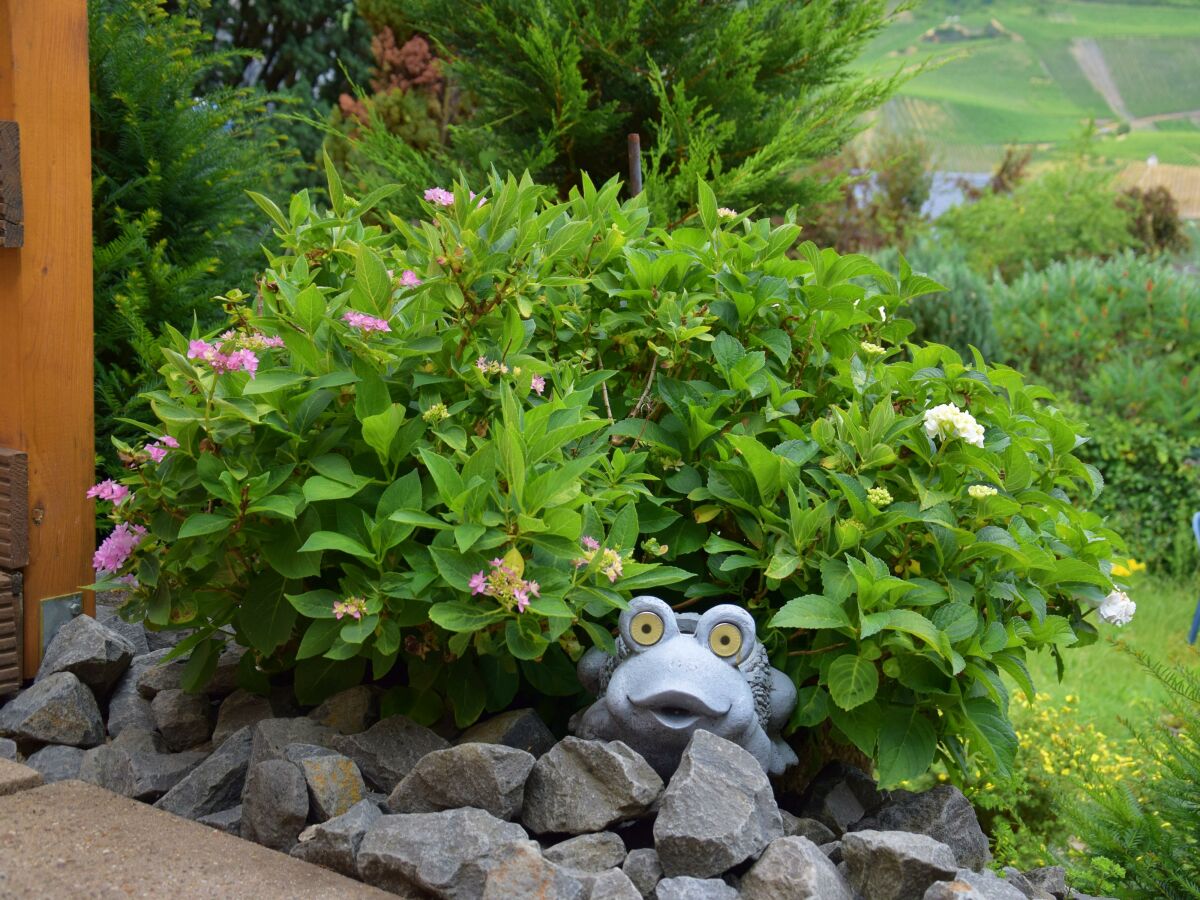 Apartment Ferienwohnung Gartenblick - Outdoor photo 5