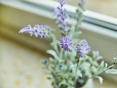 Apartment Ferienwohnung Gartenblick - Features photo 19