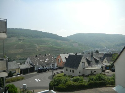 Apartment Ferienwohnung "alte Rebschule" - Outdoor photo 7
