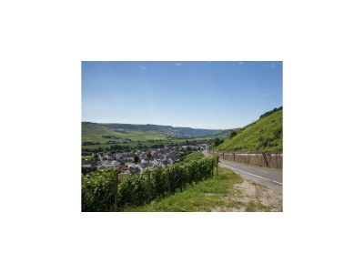 Apartment 8-Bettwohnung - Outdoor photo 19