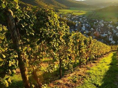 Apartment 4-Bettwohnung - Outdoor photo 7