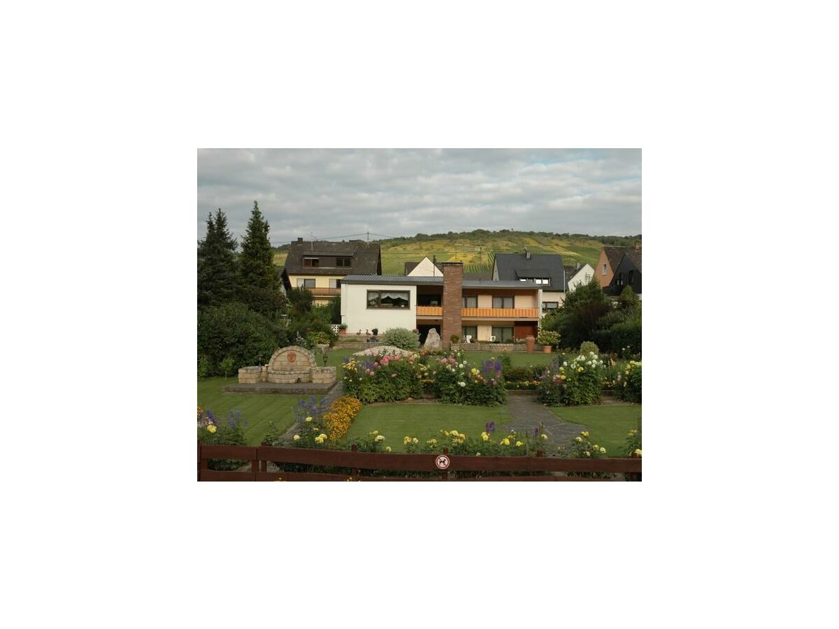 Apartment Ferienwohnung Moselland - Outdoor photo 3