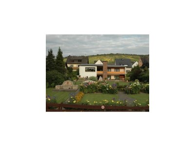 Apartment Ferienwohnung Moselland - Outdoor photo 3