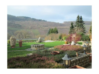 Apartment Ferienwohnung Moselland - Outdoor photo 4