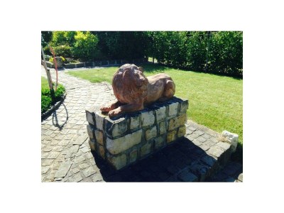 Apartment Ferienwohnung Moselland - Outdoor photo 10