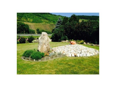 Apartment Ferienwohnung Moselland - Outdoor photo 11