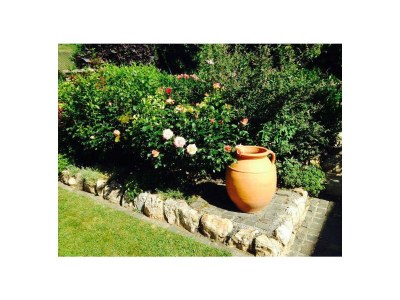 Apartment Ferienwohnung Moselland - Outdoor photo 12