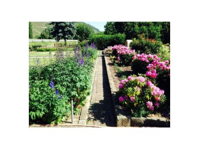 Apartment Ferienwohnung Moselland - Outdoor photo 14