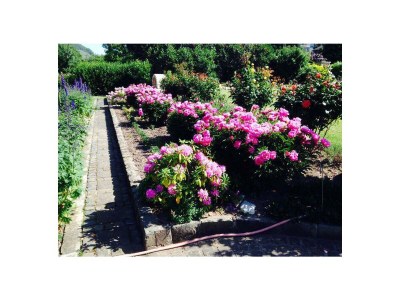 Apartment Ferienwohnung Moselland - Outdoor photo 15