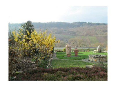 Apartment Ferienwohnung Moselland - Outdoor photo 17