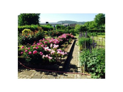 Apartment Ferienwohnung Moselland - Outdoor photo 19