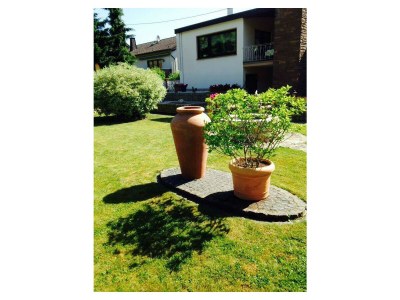 Apartment Ferienwohnung Moselland - Outdoor photo 20