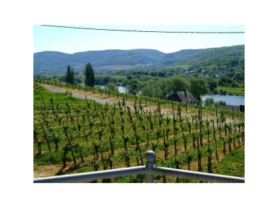 Apartment 4-Bettwohnung - Outdoor photo 12