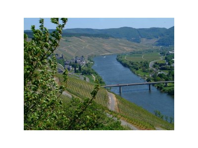 Apartment 4-Bettwohnung - Outdoor photo 15