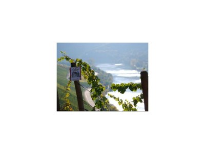 Apartment 4-Bettwohnung - Outdoor photo 18