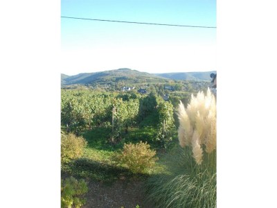 Apartment 4-Bettwohnung - Outdoor photo 21