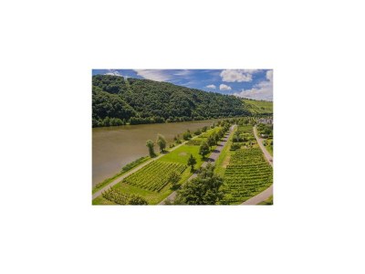 Apartment 2-Bettwohnung "Dornfelder" - Outdoor photo 7