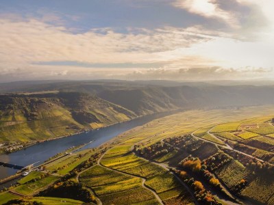 Apartment 2-Bettwohnung "Dornfelder" - Outdoor photo 13