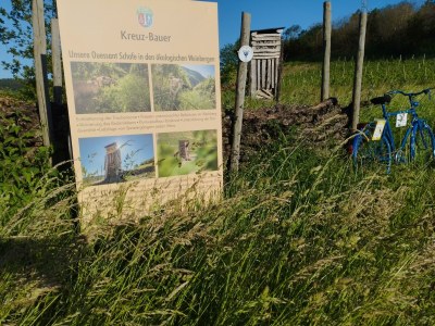 Apartment 2-Bettwohnung "Dornfelder" - Outdoor photo 18