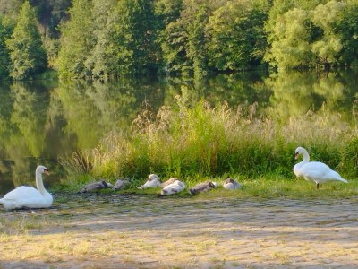 Apartment 2-Bettwohnung "Dornfelder" - Outdoor photo 19