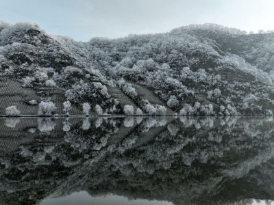 Apartment 2-Bettwohnung "Dornfelder" - Outdoor photo 20