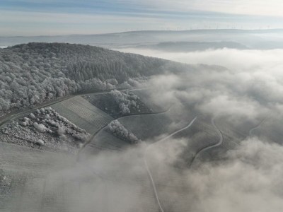 Apartment 2-Bettwohnung "Dornfelder" - Outdoor photo 21