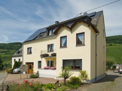 Apartment Ferienwohnung "Falkenberg" - Outdoor photo 8