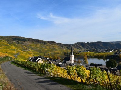 Apartment Ferienwohnung "Falkenberg" - Outdoor photo 14