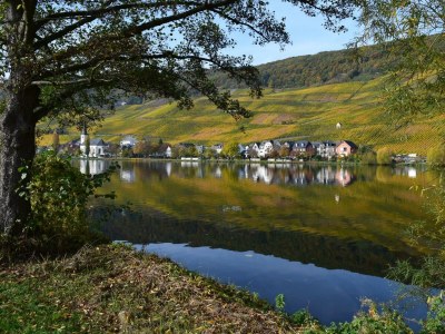 Apartment Ferienwohnung "Falkenberg" - Outdoor photo 16