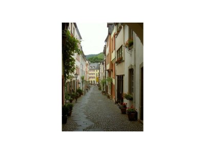 Apartment 2-Bettwohnung in Bernkastel-Kues - Apartment