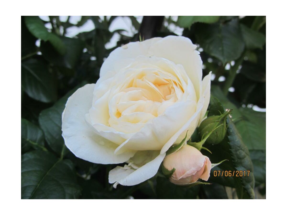 Apartment Apartment mit Terrasse - Outdoor photo 3