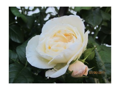 Apartment Apartment mit Terrasse - Outdoor photo 3