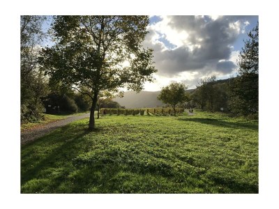 Apartment Apartment mit Terrasse - Outdoor photo 6