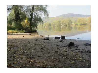 Apartment Apartment mit Terrasse - Outdoor photo 10