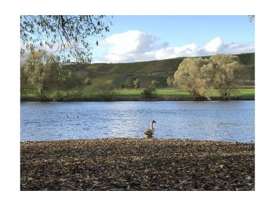 Apartment Apartment mit Terrasse - Outdoor photo 16