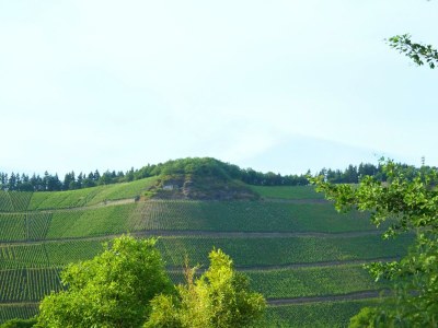 Apartment Apartment mit Terrasse - Features photo 25