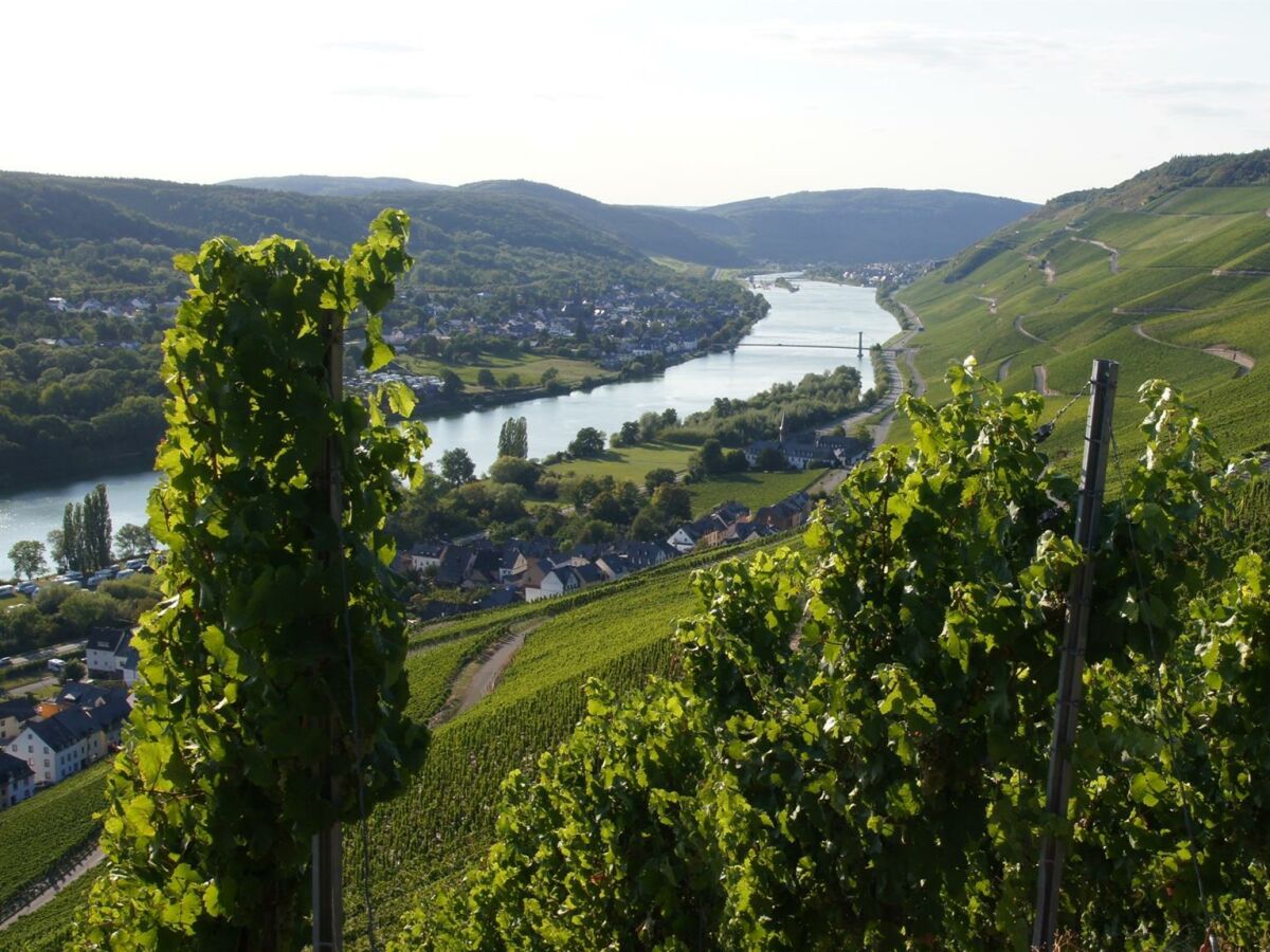 Apartment FeWo "Im Weingarten" - Outdoor photo 3