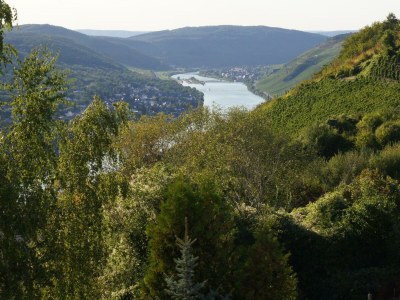 Apartment FeWo "Im Weingarten" - Outdoor photo 2