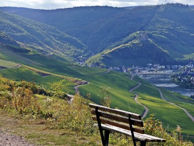 Apartment FeWo "Im Weingarten" - Outdoor photo 4