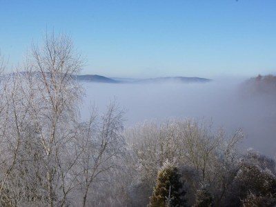 Apartment FeWo "Im Weingarten" - Outdoor photo 5
