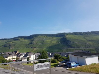 Apartment Ferienwohnung Kaufmann - Outdoor photo 6