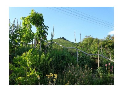 Apartment Appartement mit Balkon - Outdoor photo 12