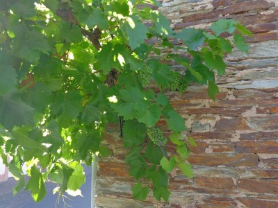 Apartment Appartement mit Balkon - Outdoor photo 14