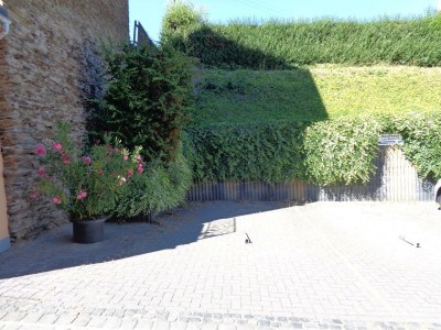 Apartment Appartement mit Balkon - Features photo 26